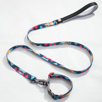 HKM-9453501 Geometric Pattern Polyester Pet Leash and Collar Set