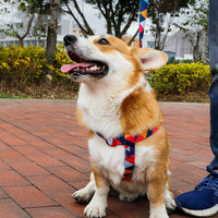HKM-9453501 Geometric Pattern Polyester Pet Leash and Collar Set
