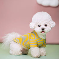 HKM-9454269 Breathable Cotton T-Shirt for Pets in Blue, Pink, Green, Purple, and Yellow - Sizes S to 2XL
