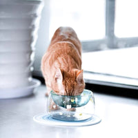 HKM-9459645 Medium Cat's Claw Glass Bowl with Optional Cushion - Stylish Pet Accessory
