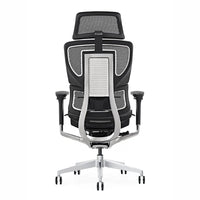 HKM-946067 Ergonomic High Back Mesh Office Swivel Chair with Adjustable Arms and Lumbar Support