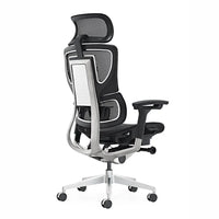 HKM-946067 Ergonomic High Back Mesh Office Swivel Chair with Adjustable Arms and Lumbar Support