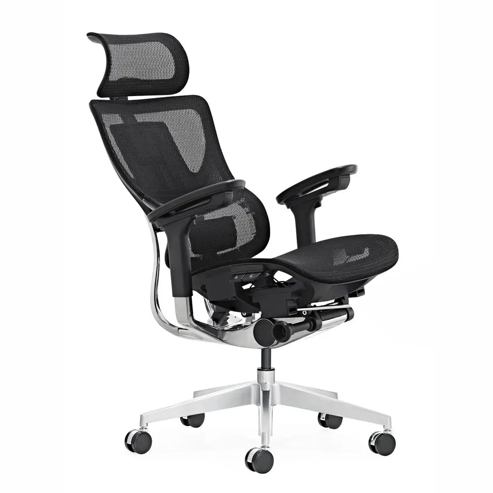 HKM-946067 Ergonomic High Back Mesh Office Swivel Chair with Adjustable Arms and Lumbar Support