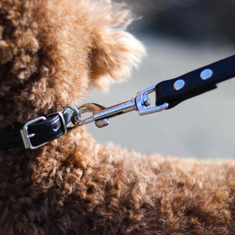 HKM-9465021 Leather Pet Leash and Collar Set - Small and Medium Sizes Available
