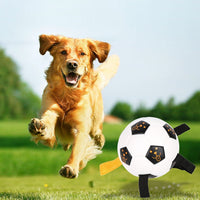HKM-9466045 Multifunctional TPU Dog Training Ball with Rope – 17CM Outdoor Play Toy