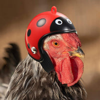 HKM-9472445 Adjustable Chicken Helmet with Sponge Lining - Protective Headwear for Small Pets and Birds
