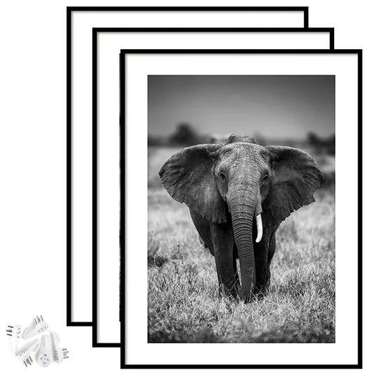 HKM-947795 A4 Size Black MDF Photo Frame for Wall Hanging and Freestanding Display