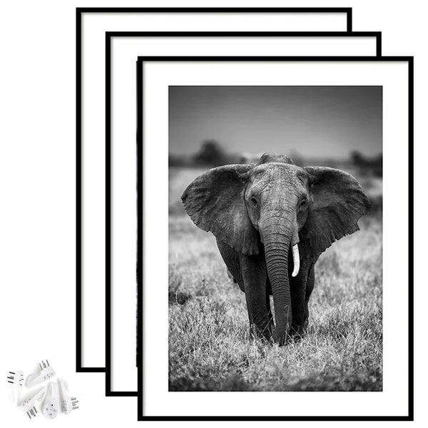 HKM-947795 A4 Size Black MDF Photo Frame for Wall Hanging and Freestanding Display