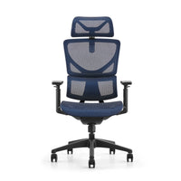 HKM-947859 Ergonomic High Back Mesh Executive Office Chair with Multi-Functional Features