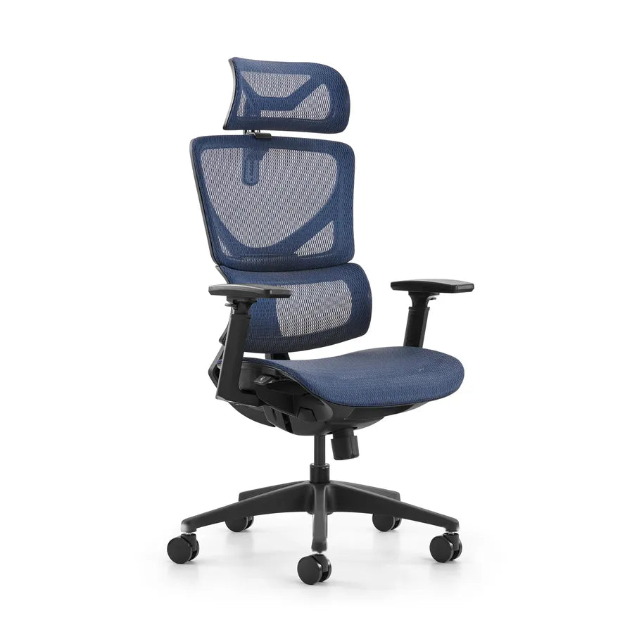 HKM-947859 Ergonomic High Back Mesh Executive Office Chair with Multi-Functional Features