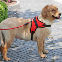 HKM-9480509 Reflective Nylon Dog Harness and Leash Set for Medium to Large Dogs - Padded and Safe for Travel