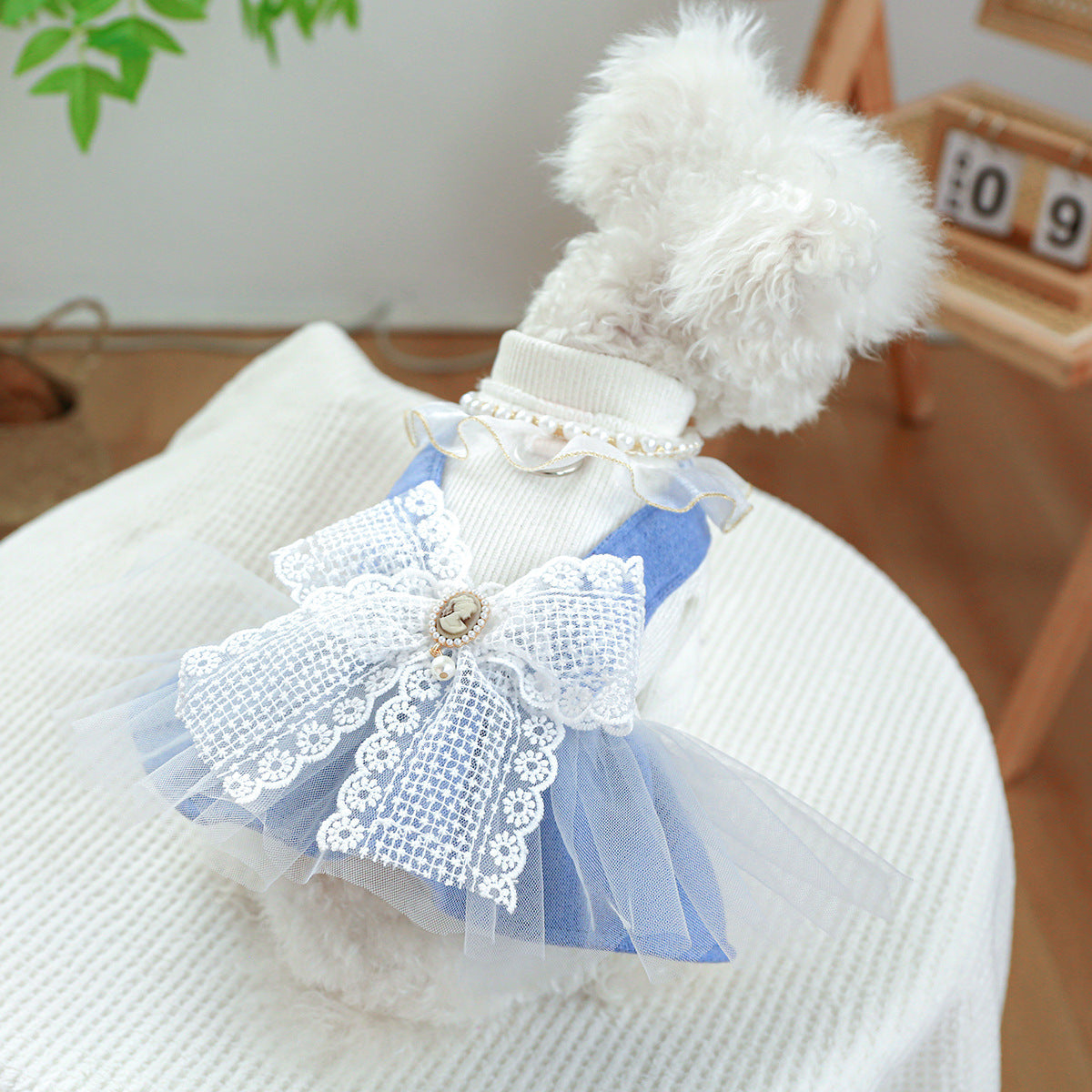 HKM-9481277 Pet Dress with Pearl Lace for Dogs and Cats - Stylish Casual Clothing in Various Sizes
