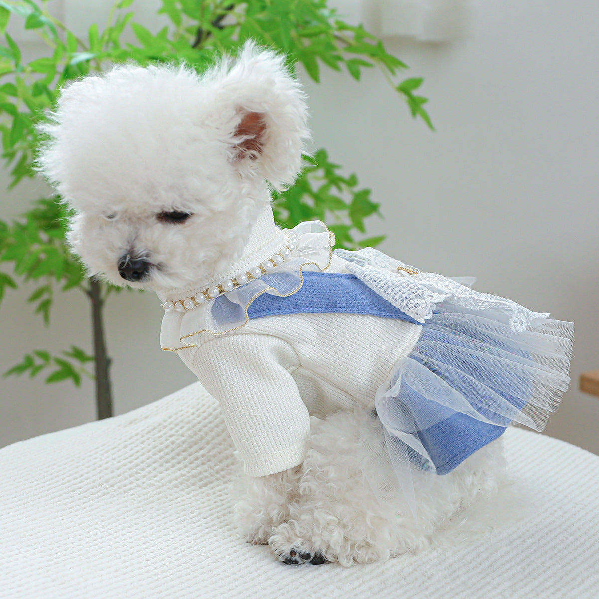 HKM-9481277 Pet Dress with Pearl Lace for Dogs and Cats - Stylish Casual Clothing in Various Sizes