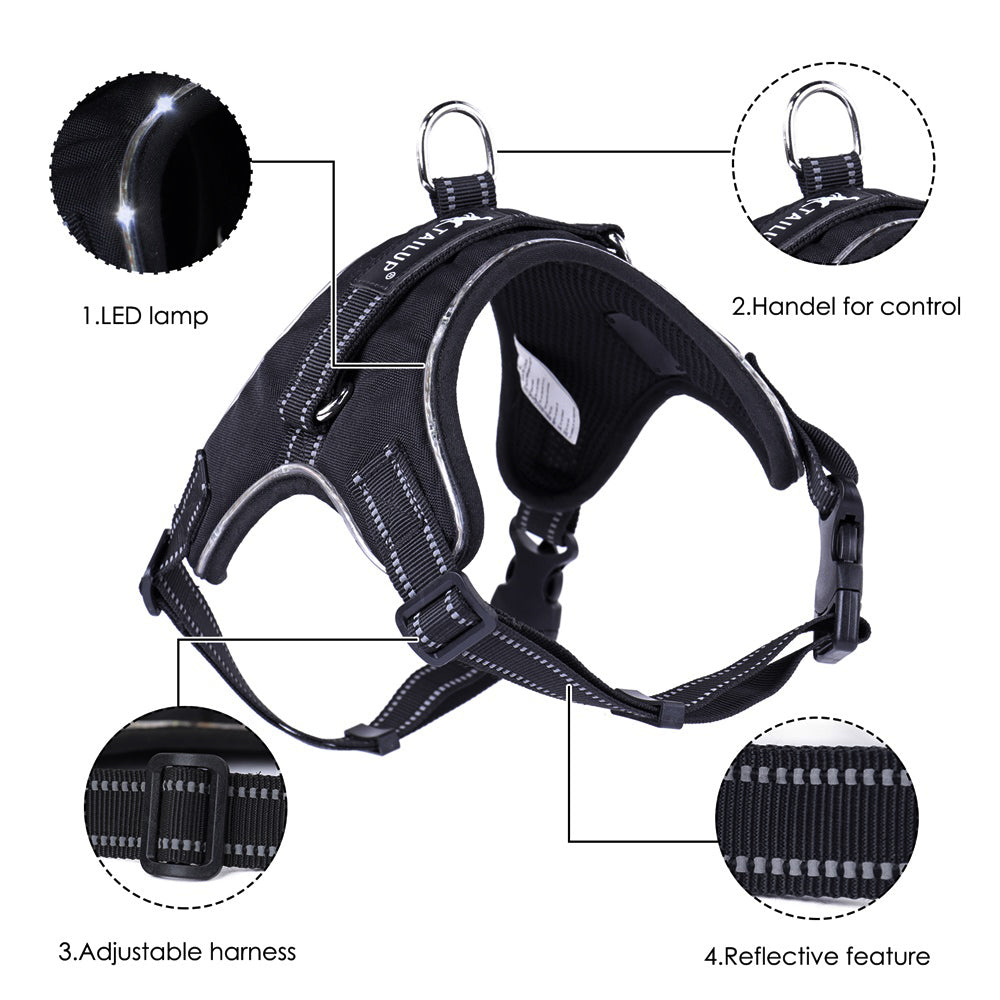 HKM-9485757 LED Glow-in-the-Dark Adjustable Dog Collar with Reflective Strips and Waterproof Design