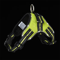 HKM-9485757 LED Glow-in-the-Dark Adjustable Dog Collar with Reflective Strips and Waterproof Design