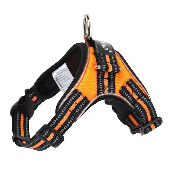 HKM-9485757 LED Glow-in-the-Dark Adjustable Dog Collar with Reflective Strips and Waterproof Design