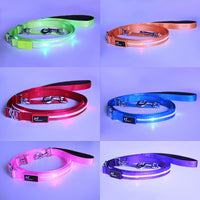 HKM-9497789 Luminous LED USB Charging Pet Leash ¨C Adjustable Nylon Strap in Multiple Colors
