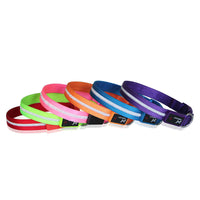 HKM-9497789 Luminous LED USB Charging Pet Leash ¨C Adjustable Nylon Strap in Multiple Colors