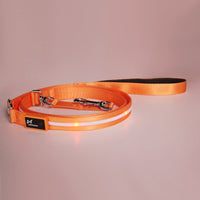 HKM-9497789 Luminous LED USB Charging Pet Leash ¨C Adjustable Nylon Strap in Multiple Colors