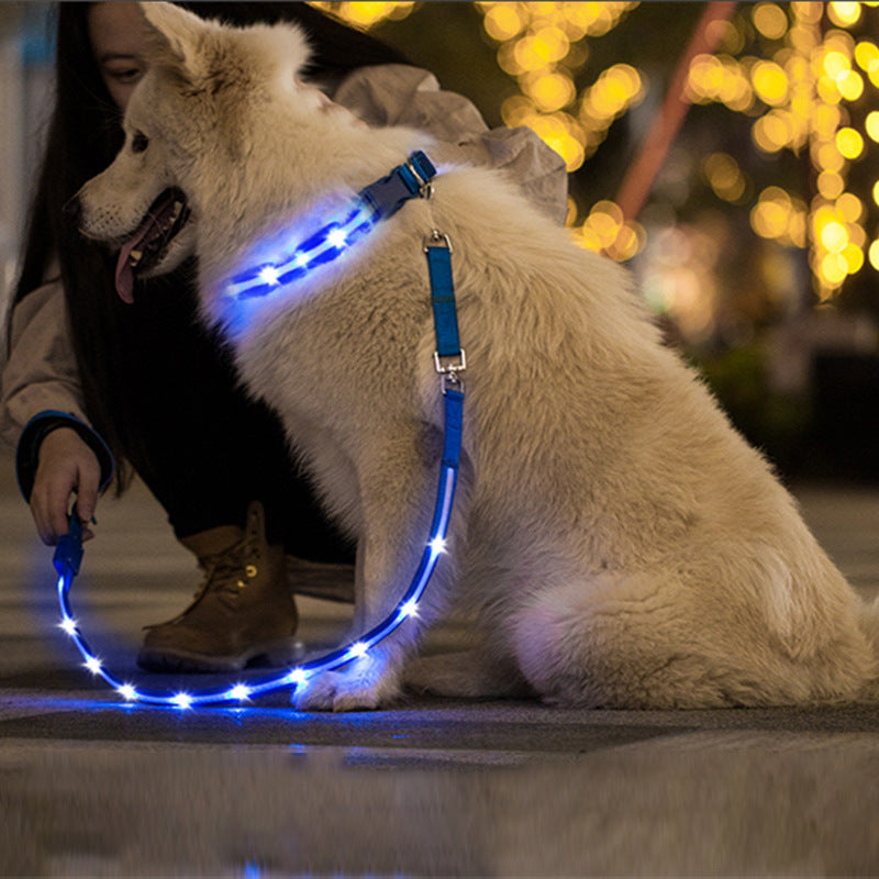 HKM-9497789 Luminous LED USB Charging Pet Leash ¨C Adjustable Nylon Strap in Multiple Colors