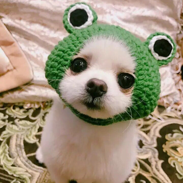 HKM-9502781 Knitted Wool Pet Hat - Cartoon Frog Headdress for Pets, Sizes S & M