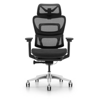 HKM-951827 Ergonomic Mesh Executive Office Chair with Adjustable Lumbar Support and Revolving Feature