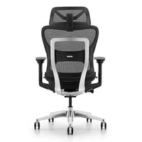 HKM-951827 Ergonomic Mesh Executive Office Chair with Adjustable Lumbar Support and Revolving Feature