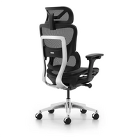 HKM-951827 Ergonomic Mesh Executive Office Chair with Adjustable Lumbar Support and Revolving Feature