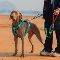 HKM-9519037 Light Green Dog Breast Strap with Easy-Release Traction Rope - Adjustable Polyester Harness Set