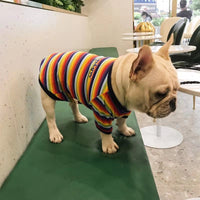 HKM-9523389 Trendy Cotton Dog Sweater in Color Bar for All Sizes