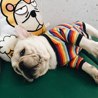 HKM-9523389 Trendy Cotton Dog Sweater in Color Bar for All Sizes