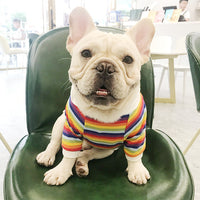 HKM-9523389 Trendy Cotton Dog Sweater in Color Bar for All Sizes
