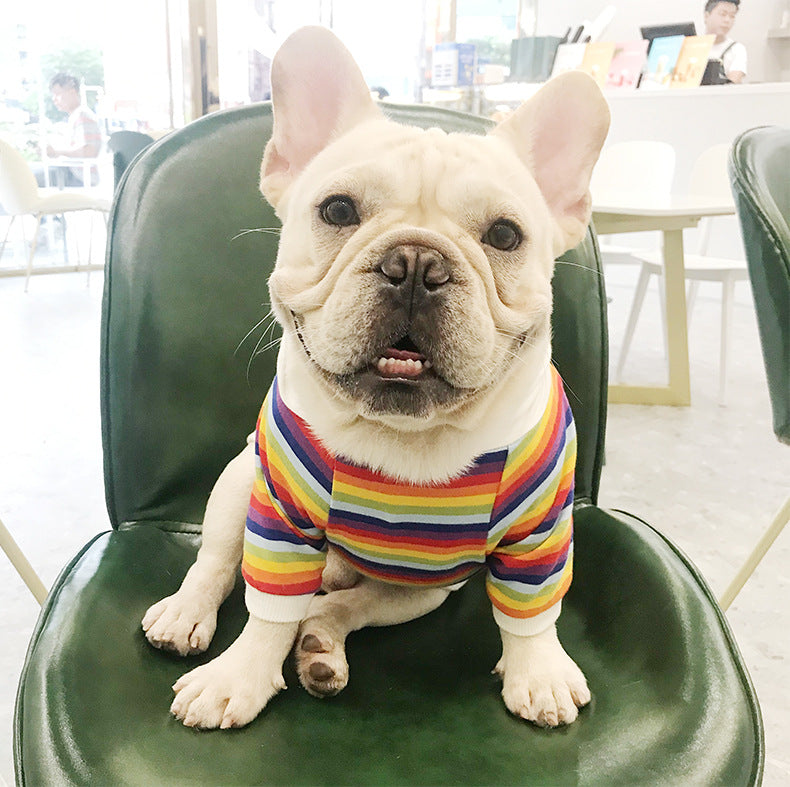 HKM-9523389 Trendy Cotton Dog Sweater in Color Bar for All Sizes