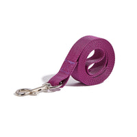 HKM-9524797 Durable Nylon Handheld Dog Leash with Adjustable Collar in Various Colors