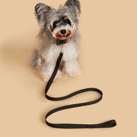 HKM-9524797 Durable Nylon Handheld Dog Leash with Adjustable Collar in Various Colors
