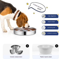 HKM-9525181 Stainless Steel Pet Slow Feeding Bowl with Neck Protector