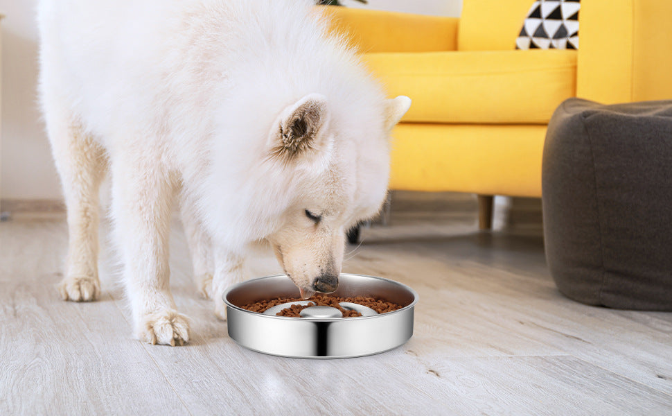 HKM-9525181 Stainless Steel Pet Slow Feeding Bowl with Neck Protector