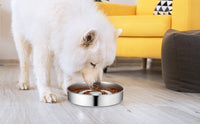 HKM-9525181 Stainless Steel Pet Slow Feeding Bowl with Neck Protector