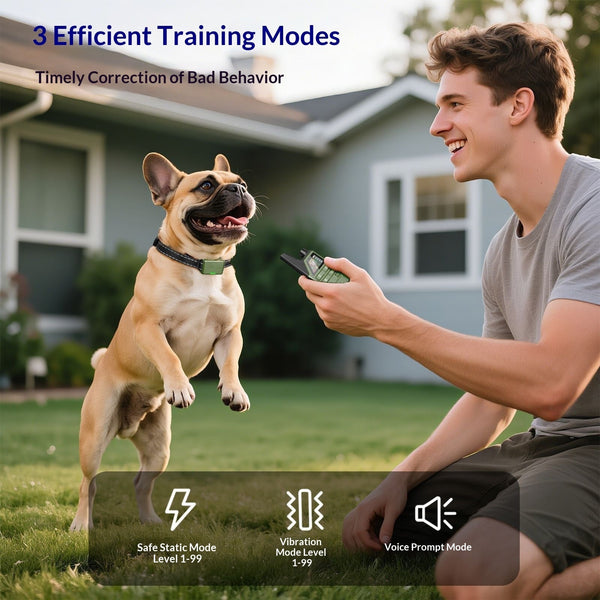 HKM-9525821 Remote Control Anti-Bark Training Collar for Dogs - One or Two Units with Controller
