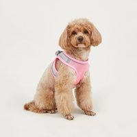 HKM-9527613 Breathable Polyester Dog Leash with Chest Strap for Small Breeds