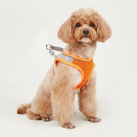 HKM-9527613 Breathable Polyester Dog Leash with Chest Strap for Small Breeds