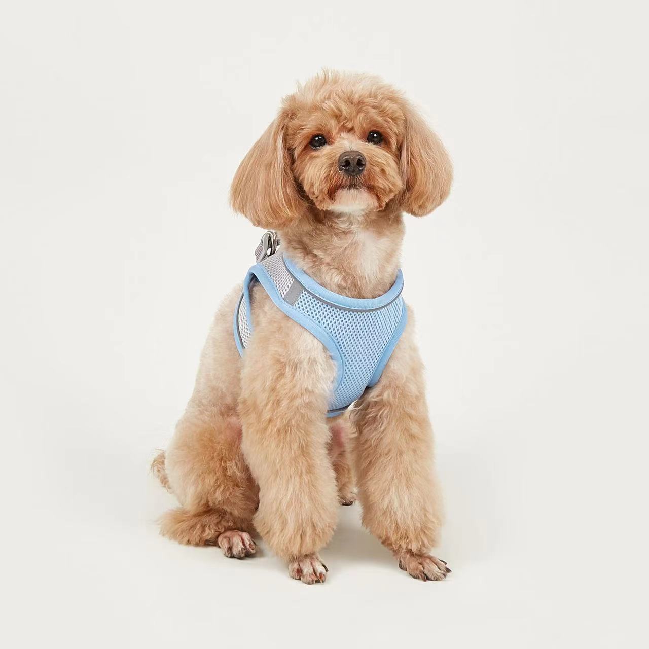 HKM-9527613 Breathable Polyester Dog Leash with Chest Strap for Small Breeds