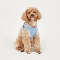 HKM-9527613 Breathable Polyester Dog Leash with Chest Strap for Small Breeds