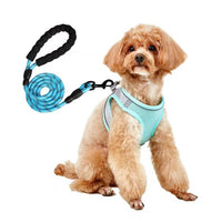 HKM-9527613 Breathable Polyester Dog Leash with Chest Strap for Small Breeds