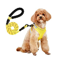 HKM-9527613 Breathable Polyester Dog Leash with Chest Strap for Small Breeds