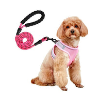 HKM-9527613 Breathable Polyester Dog Leash with Chest Strap for Small Breeds