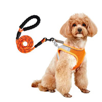HKM-9527613 Breathable Polyester Dog Leash with Chest Strap for Small Breeds