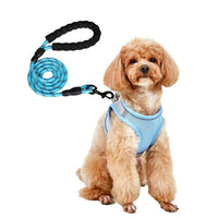 HKM-9527613 Breathable Polyester Dog Leash with Chest Strap for Small Breeds