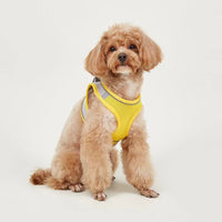 HKM-9527613 Breathable Polyester Dog Leash with Chest Strap for Small Breeds