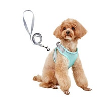 HKM-9527613 Breathable Polyester Dog Leash with Chest Strap for Small Breeds